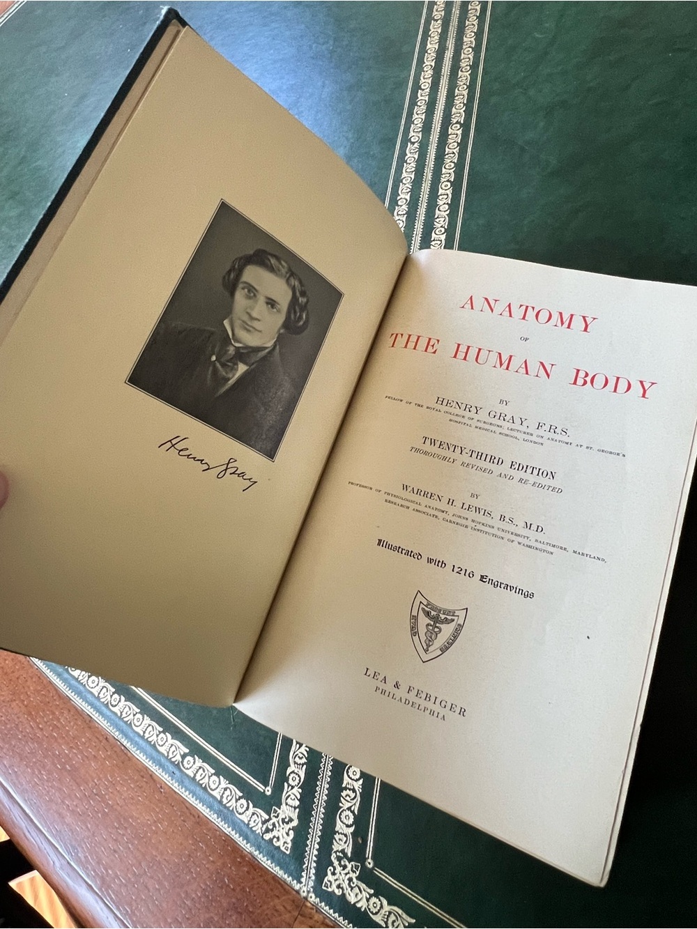 Antique Vintage 1936 23rd Edition Gray’s Anatomy of the Human Body Warren Lewis - Picture 8 of 12
